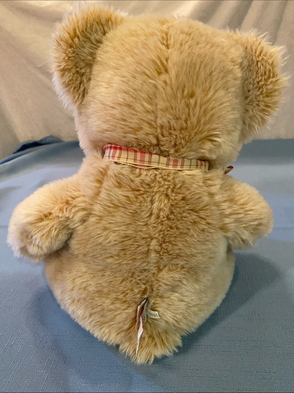 Gund Teddy Bear - Picture 2 of 7